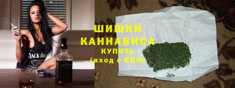 Бошки марихуана THC 21%  где купить наркоту  Болхов 